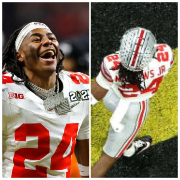 Mens Ohio State Buckeyes #24 Jermaine Mathews Jr. White Diamonds Playoff Game Jersey