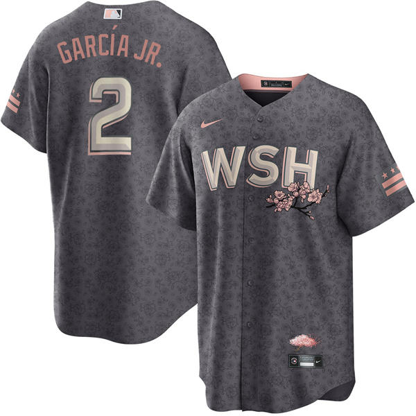 Men's Washington Nationals #2 Luis Garcia Jr. Nike Charcoal City Connect Limited Player Jersey